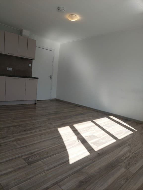 Lichte woonkamer met een houten vloer en een open keuken in een modern ongeveerd interieur.
