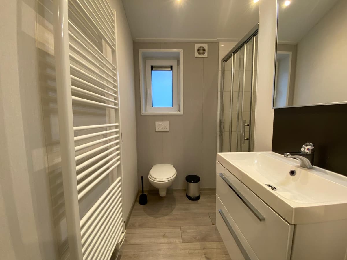 Moderne badkamer met douche, toilet, wastafel en handdoekenradiator in lichte kleuren