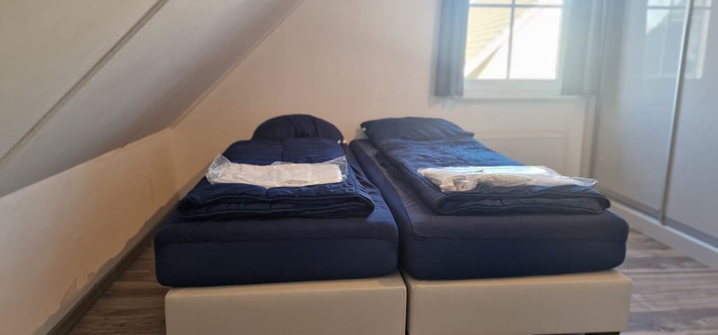 Slaapkamer met twee losse bedden, elk met een blauwe dekbed en een mooie lichtinval door het raam.