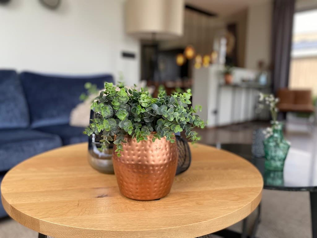 Decoratieve planten op een houten salontafel met op de achtergrond een moderne woonkamer en keuken zichtbaar.