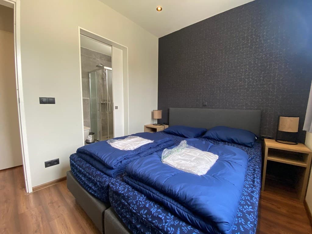 Slaapkamer met tweepersoonsbed, nachtkastjes en toegang tot een badkamer met douche.