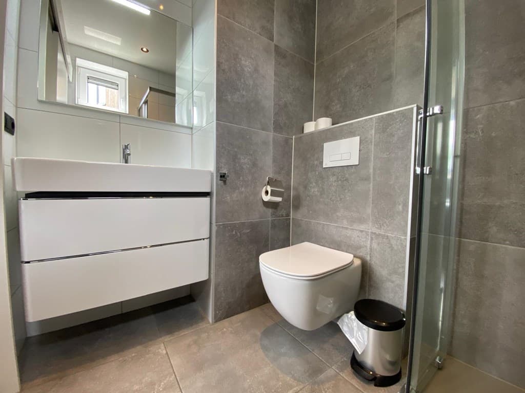 Moderne badkamerruimte met grijze tegels, wastafel met kast, toilet en een inloopdouche.