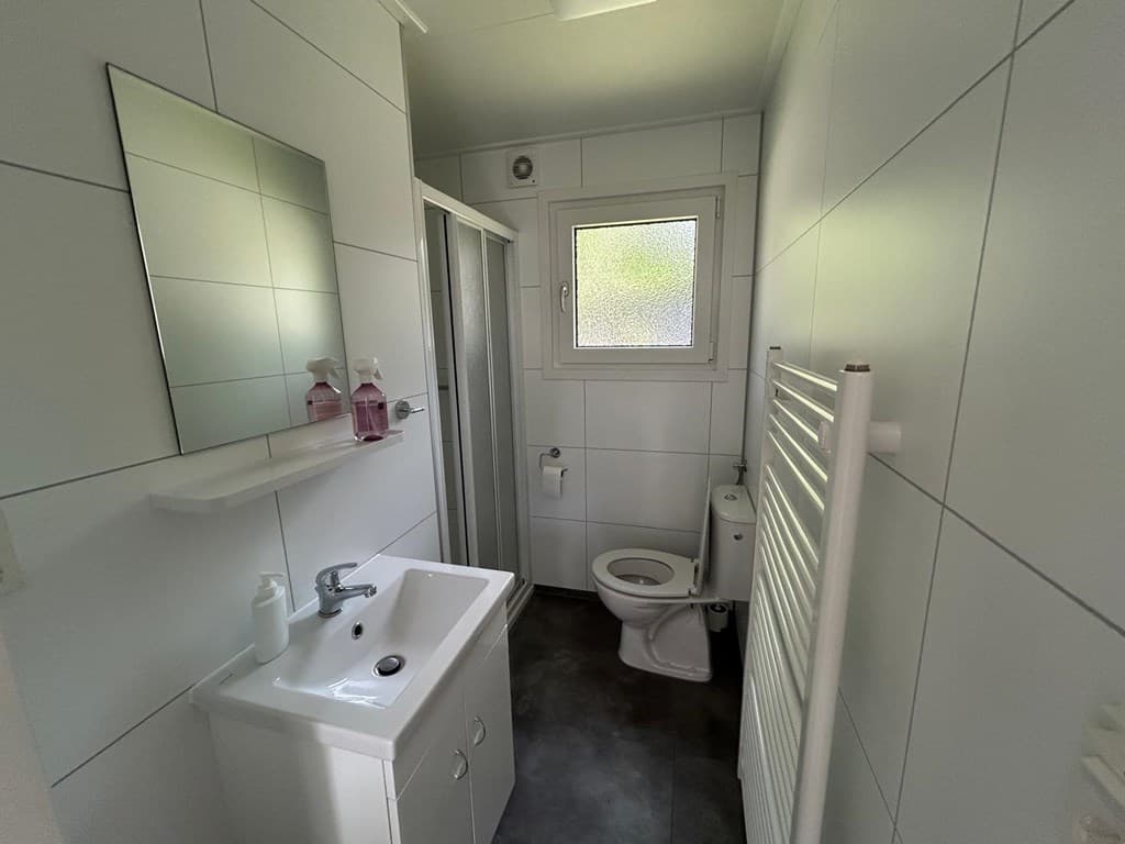 Badkamer met wastafel, douchecabine, toilet en een handdoekenradiator in een lichte inrichting
