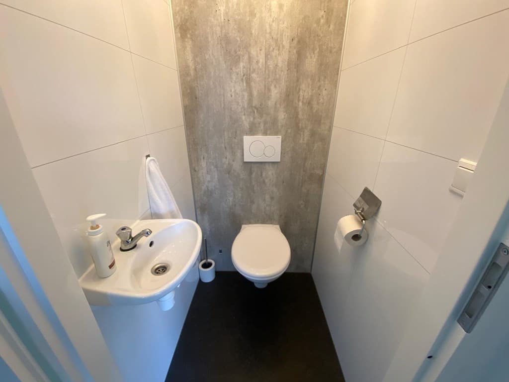 Witte toiletruimte met een hangend toilet, wastafel en grijze muurpanelen