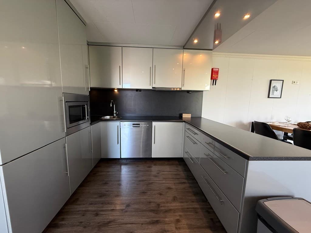 Moderne keuken met grijze kasten, een vaatwasser en een inductiekookplaat, uitzicht op eethoek met zwarte stoelen.