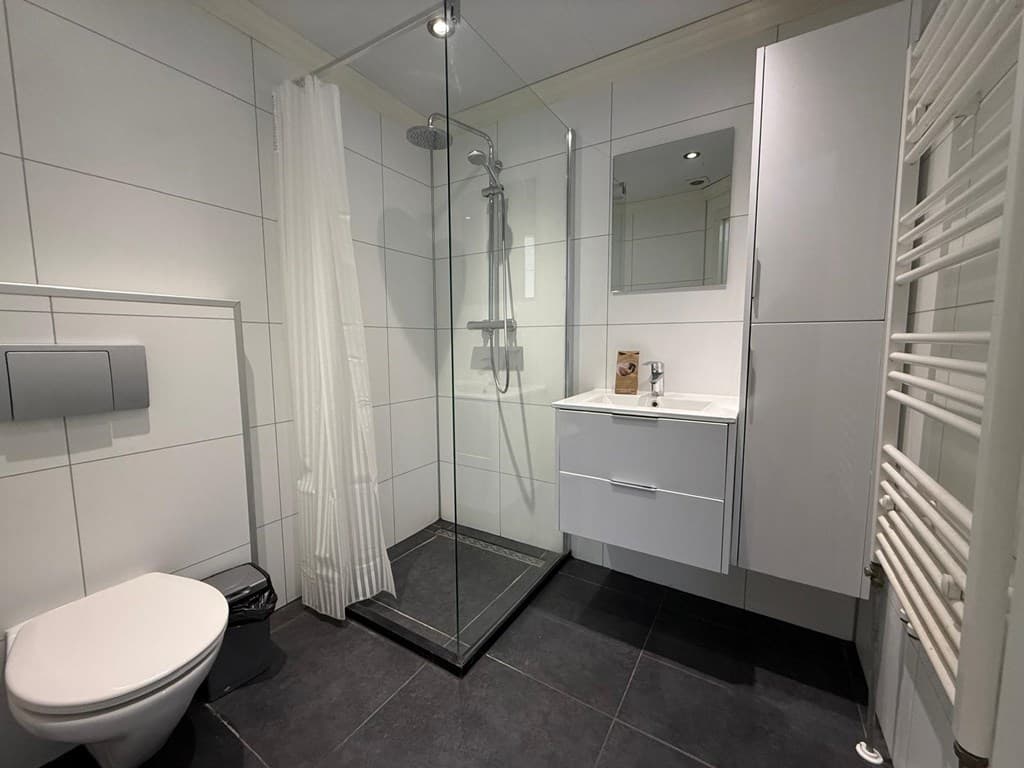 Moderne badkamer met inloopdouche, wastafel met kast, toilet en handdoekradiator in lichte kleuren