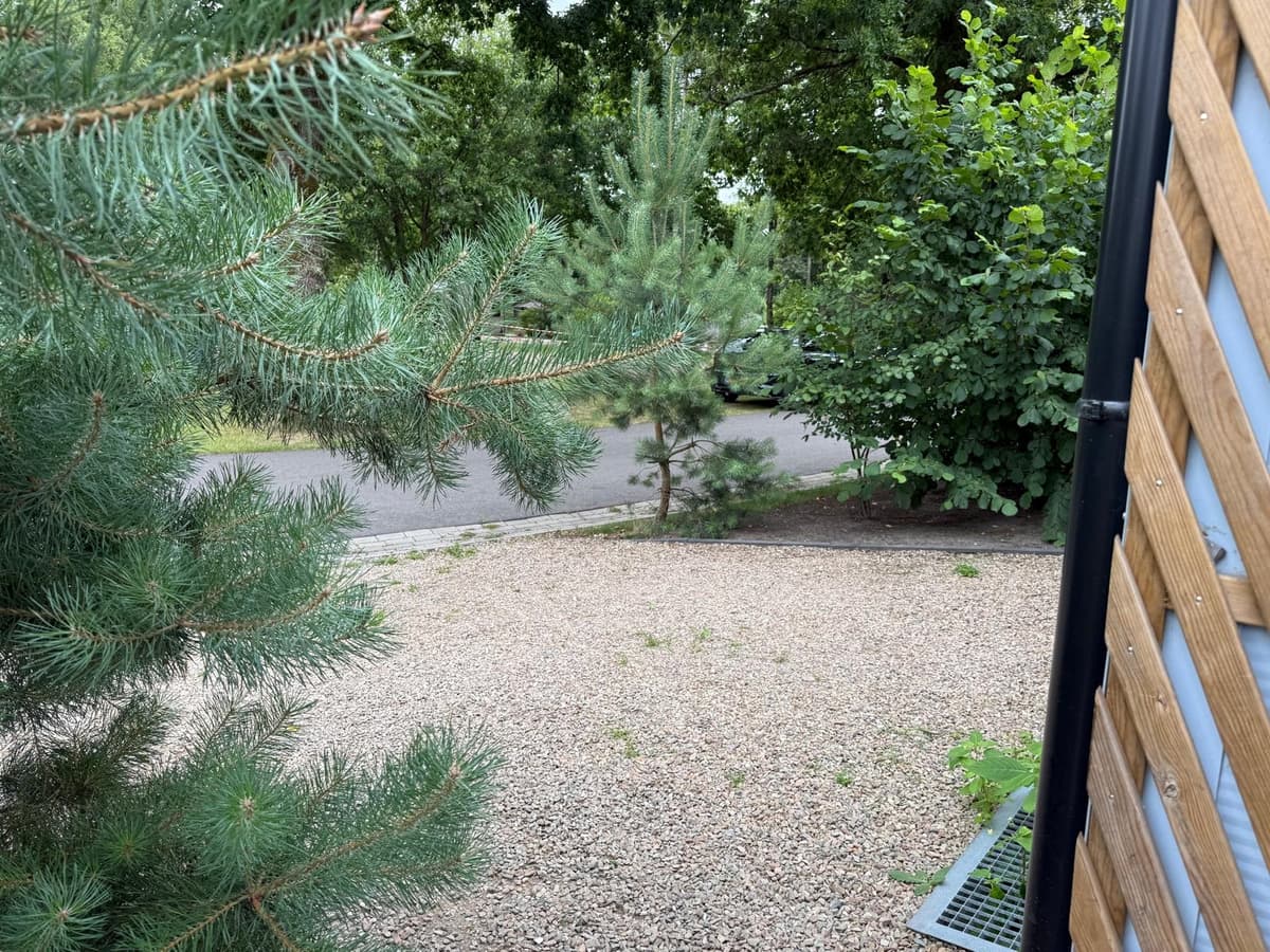 Uitzicht op een grindpad omringd door groene bomen en struiken bij EuroParcs De Hooge Veluwe.