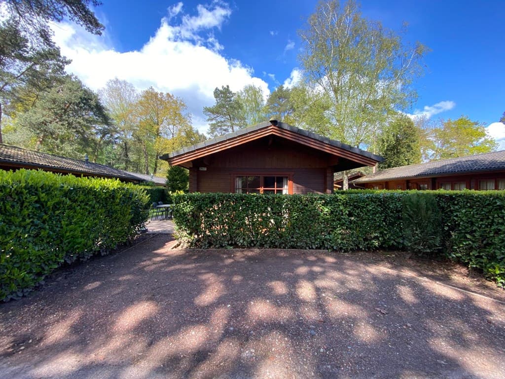 Houten vakantiewoning omringd door groen met een grindpad en bomen op EuroParcs De Achterhoek in Lochem