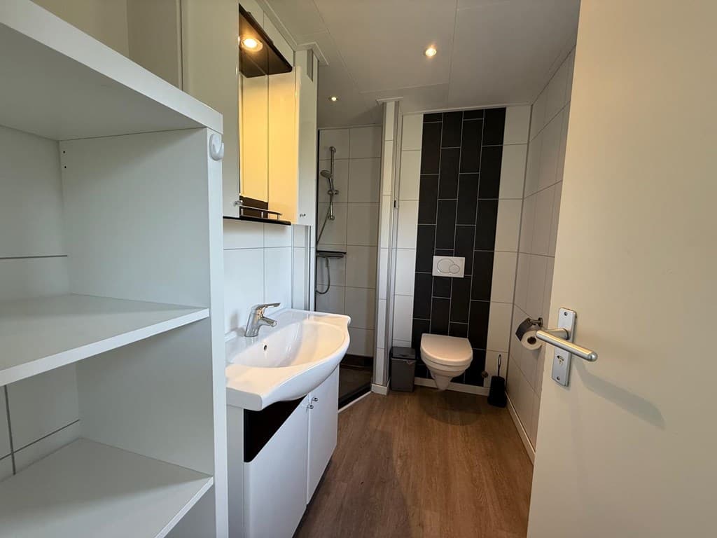 Badkamer met wastafel, toilet en douchecabine, lichte tegels en donkere accentwand, opbergkastje aanwezig