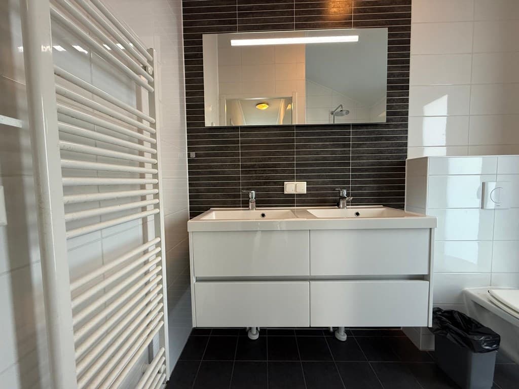 Moderne badkamer met dubbele wastafel, grote spiegel, handdoekradiator en zwarte wandtegels.