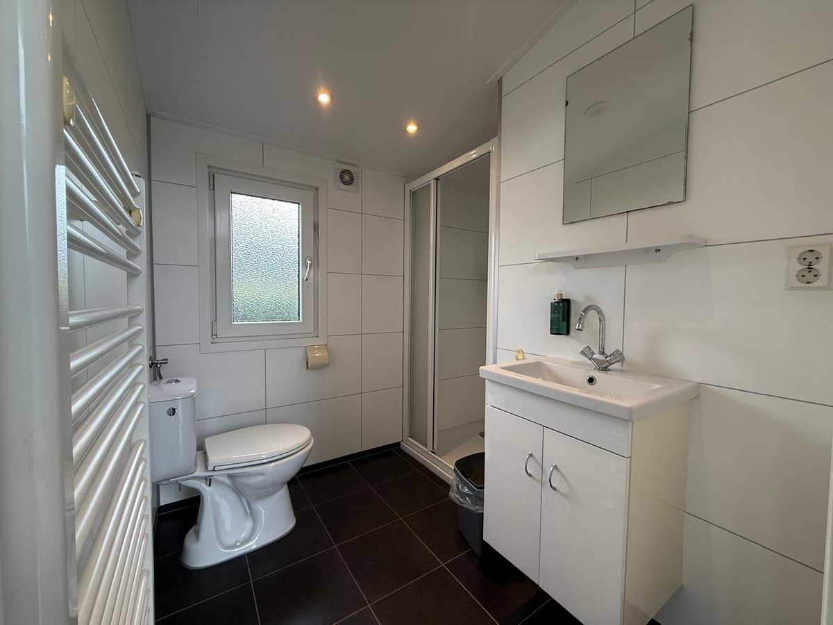 Moderne badkamer met douche, wastafel, toilet en een radiator, ingericht met witte en zwarte tegels.
