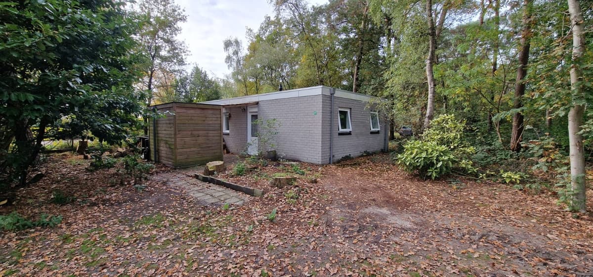Buitenaanzicht van een vakantiehuis omringd door bomen en groen, met een pad van stenen en bladeren op de grond.