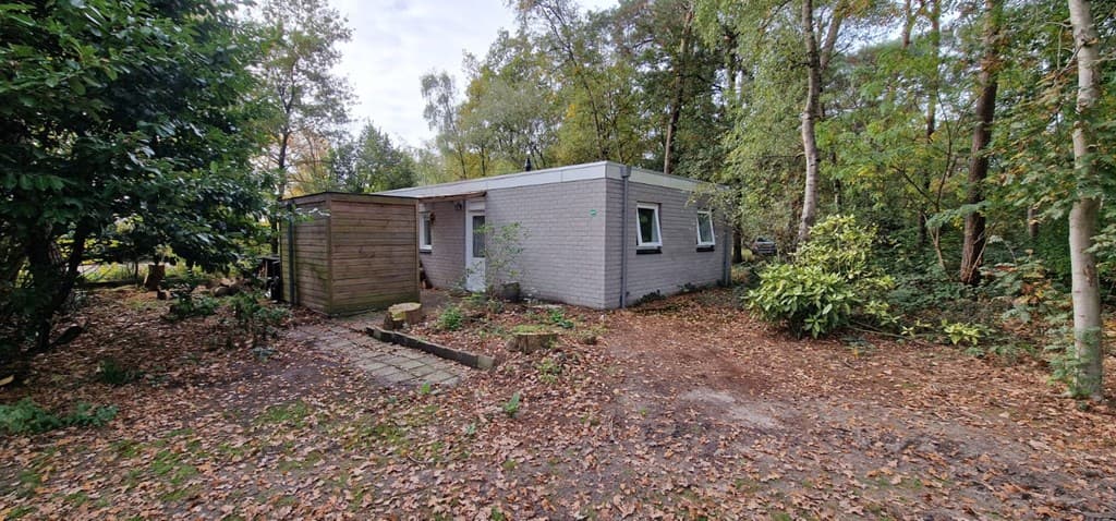 Buitenaanzicht van een vakantiehuis omringd door bomen en groen, met een pad van stenen en bladeren op de grond.