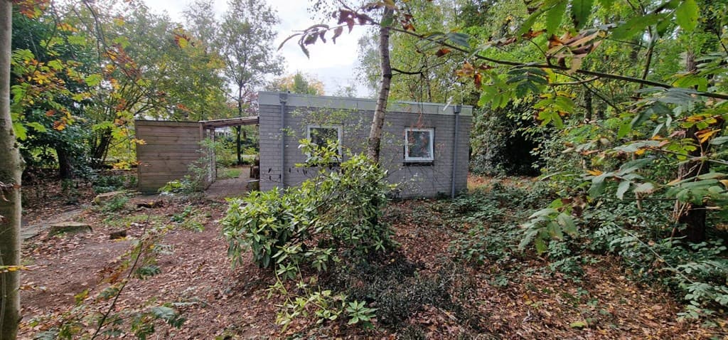 Vakantiewoning omgeven door bomen en begroeiing met zicht op een grijze gevel en ramen aan de achterkant.