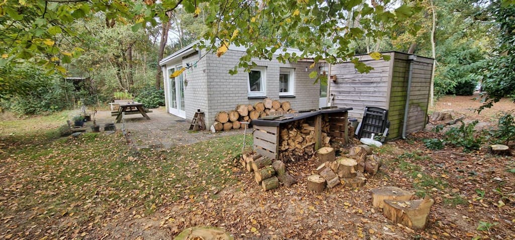 Houten vakantiehuisje met terras en stapel hout in een bosachtige omgeving met bomen en vallende bladeren