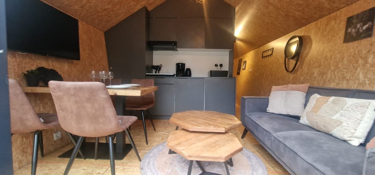 Gezellige woonkamer met moderne keuken, eetgedeelte en comfortabele bank in EuroParcs Ruinen