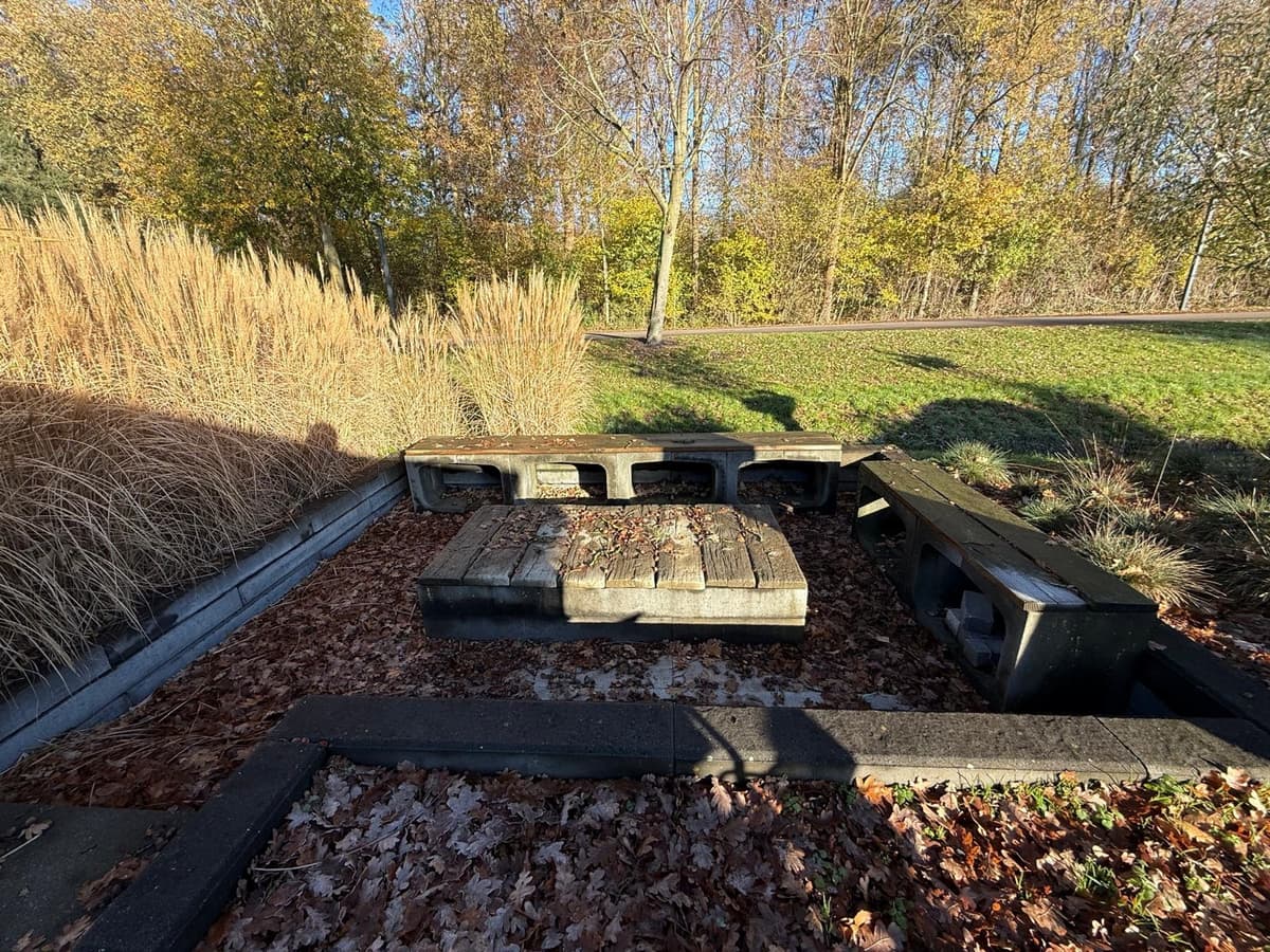 Een buitenruimte met verharding en een zitplek gemaakt van betonblokken, omgeven door gras en struiken.