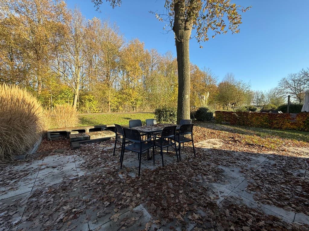 Tuin met terras, tuintafel en stoelen, omgeven door bomen en herfstbladeren.