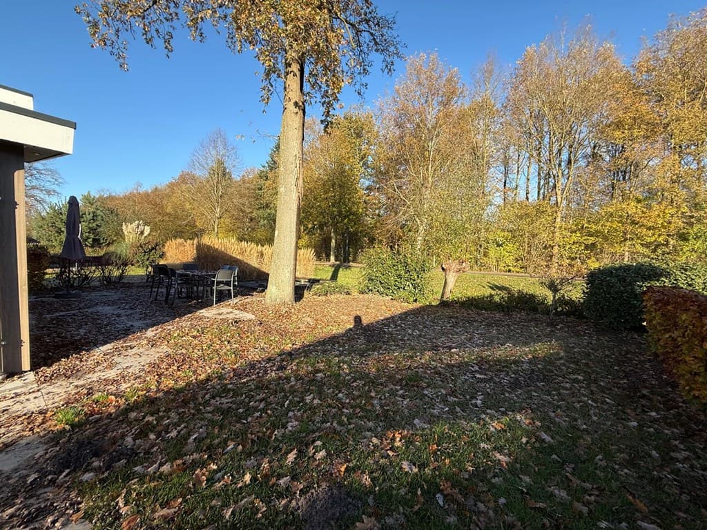 Tuin met bomen en kleurrijke herfstbladeren, buitenmeubilair aan een tafel en een schaduw op de grond