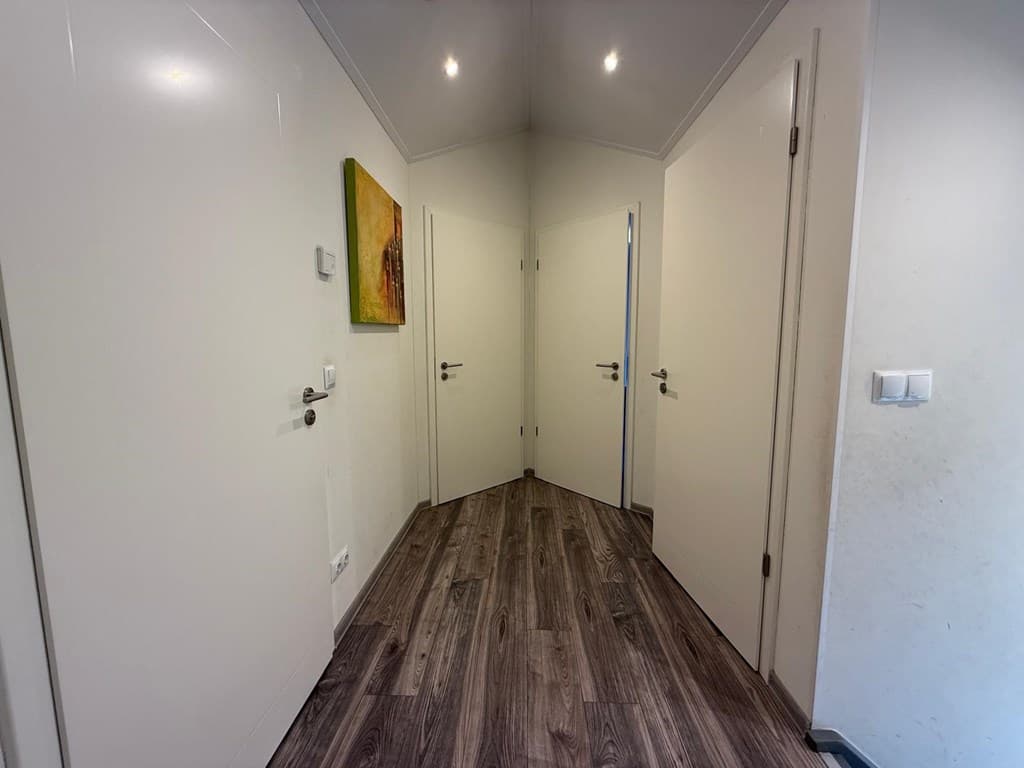 In een hal met meerdere deuren en een schilderij aan de wand, laminaatvloer en plafondverlichting.