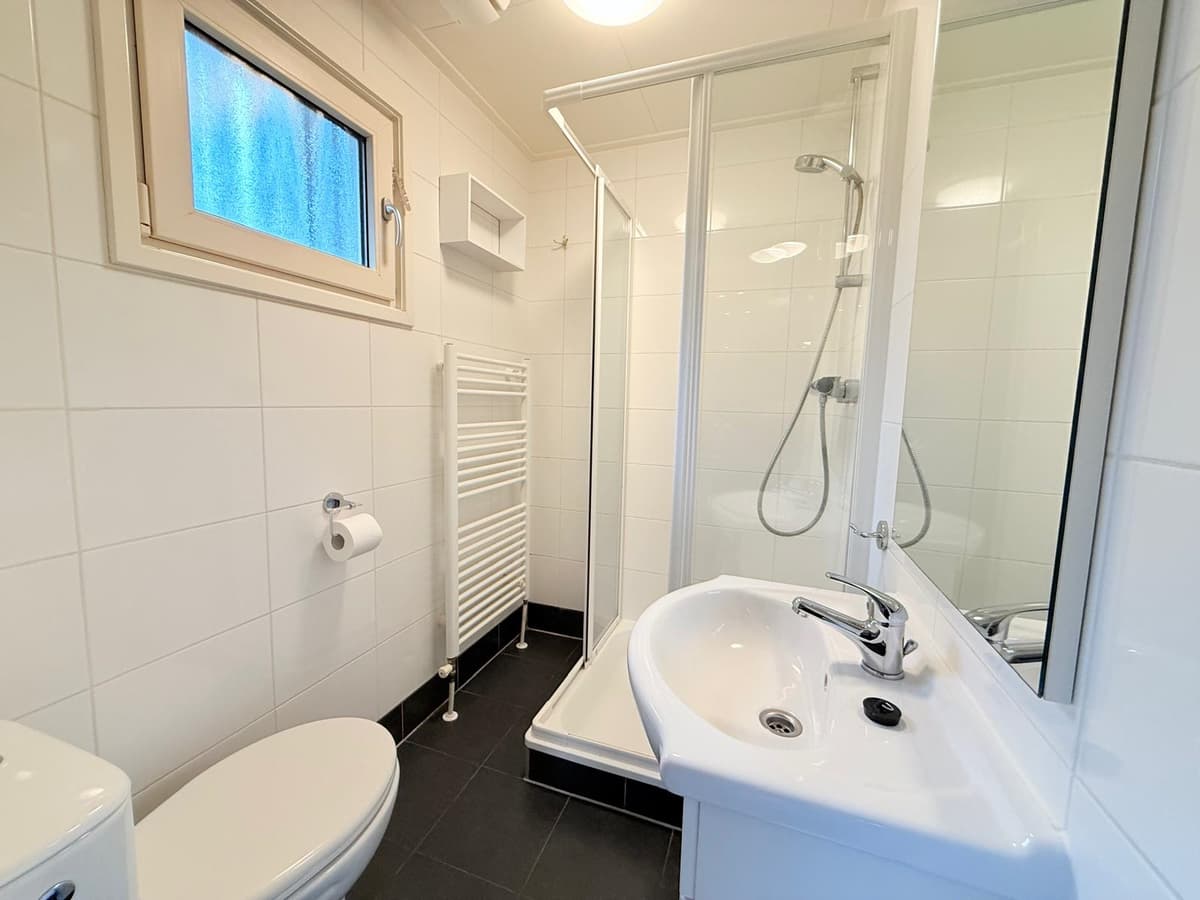 Moderne badkamer met douche, toilet, wastafel en een handdoekradiator in een lichte ruimte