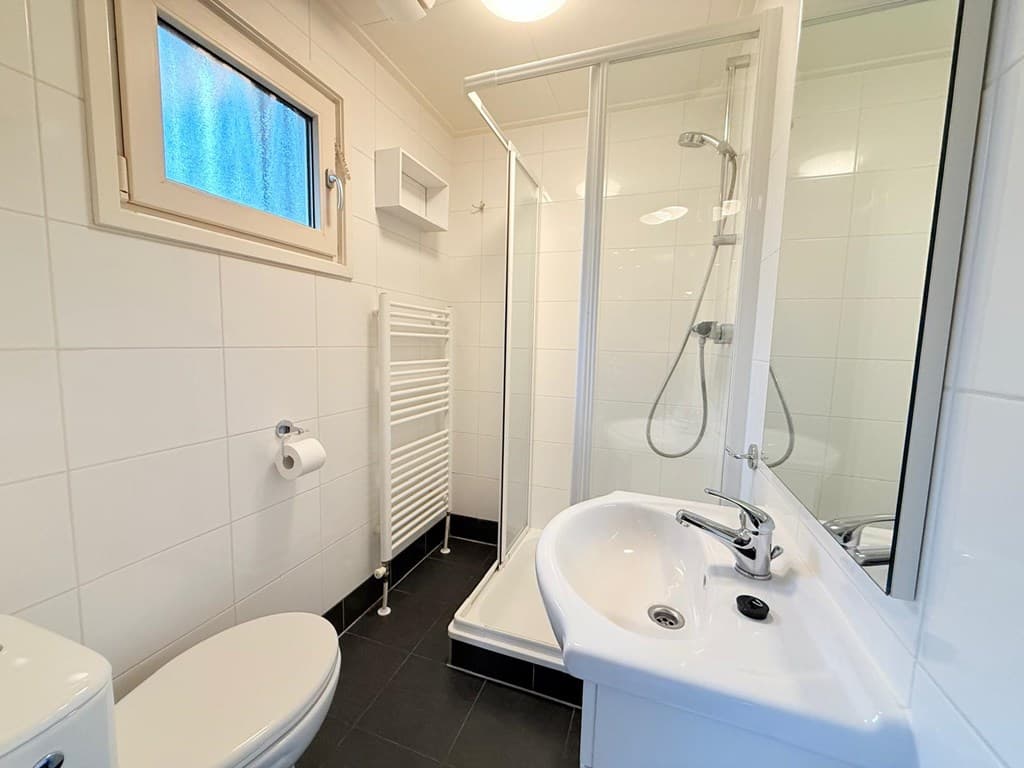 Moderne badkamer met douche, toilet, wastafel en een handdoekradiator in een lichte ruimte