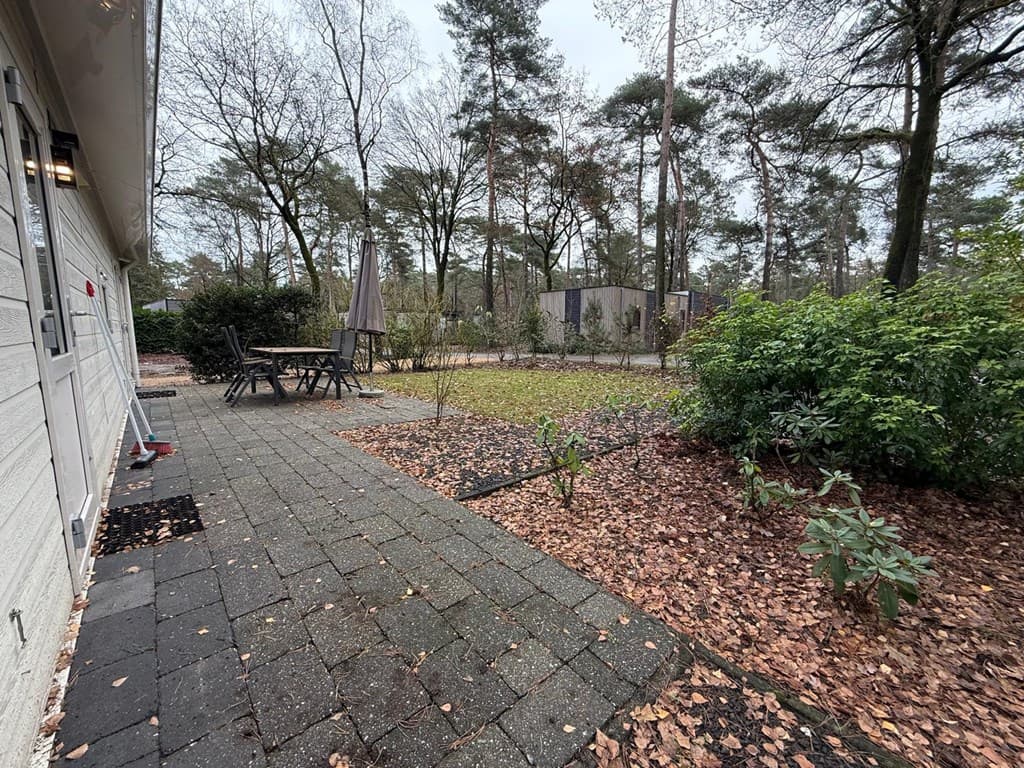 Terras met stenen tegels en tuinmeubilair, omringd door bomen en bosachtige omgeving met naaldbomen en bladeren op de grond