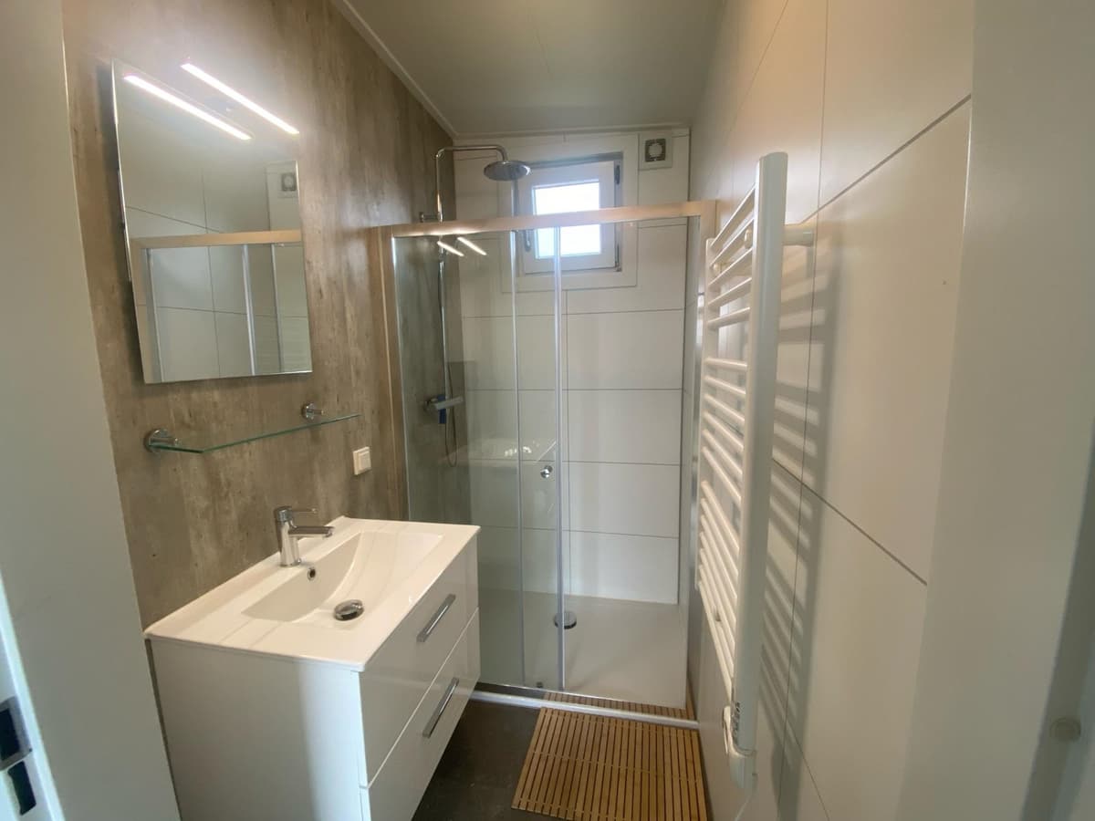 Moderne badkamer met glazen douchecabine, wastafel met spiegel en handdoekradiator.