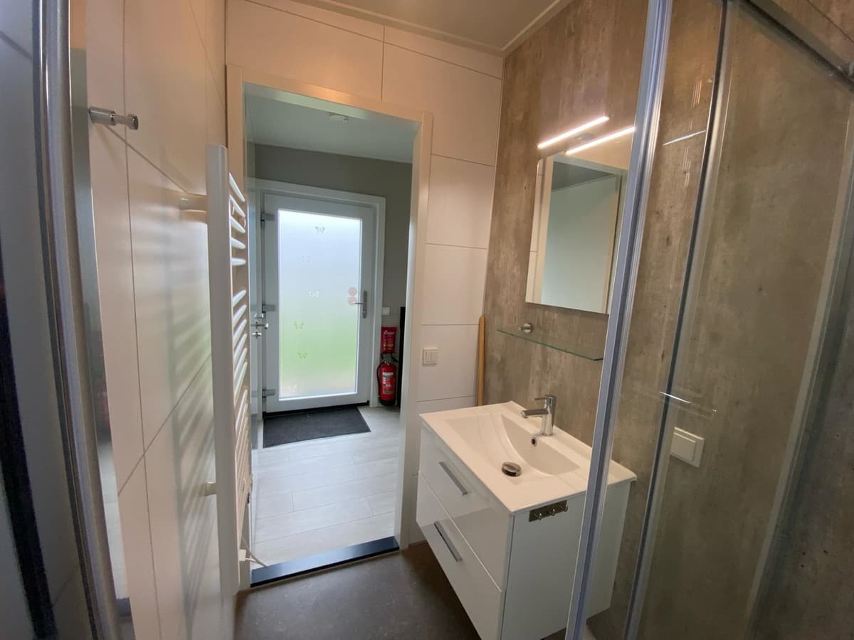 Moderne badkamer met wastafel en spiegel, toegangsdeur naar hal en glazen douchecabine