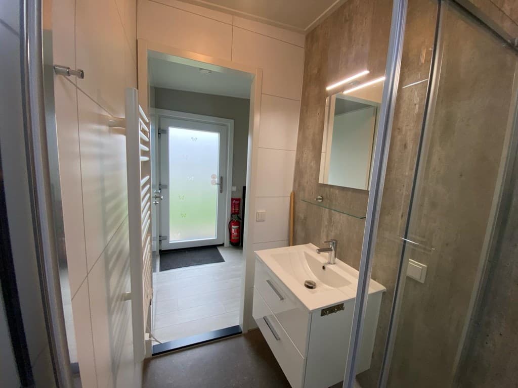 Moderne badkamer met wastafel en spiegel, toegangsdeur naar hal en glazen douchecabine