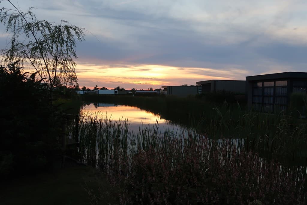 Uitzicht op een vijver met riet en bloemen tijdens zonsondergang, met gebouwen aan de achterkant van het vakantiepark