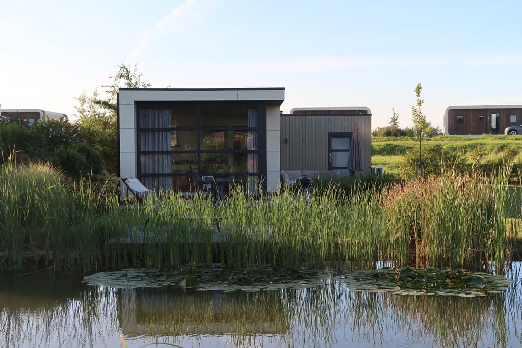 Moderne vakantiewoning aan het water met rieten begroeiing en een groot raam aan de voorkant