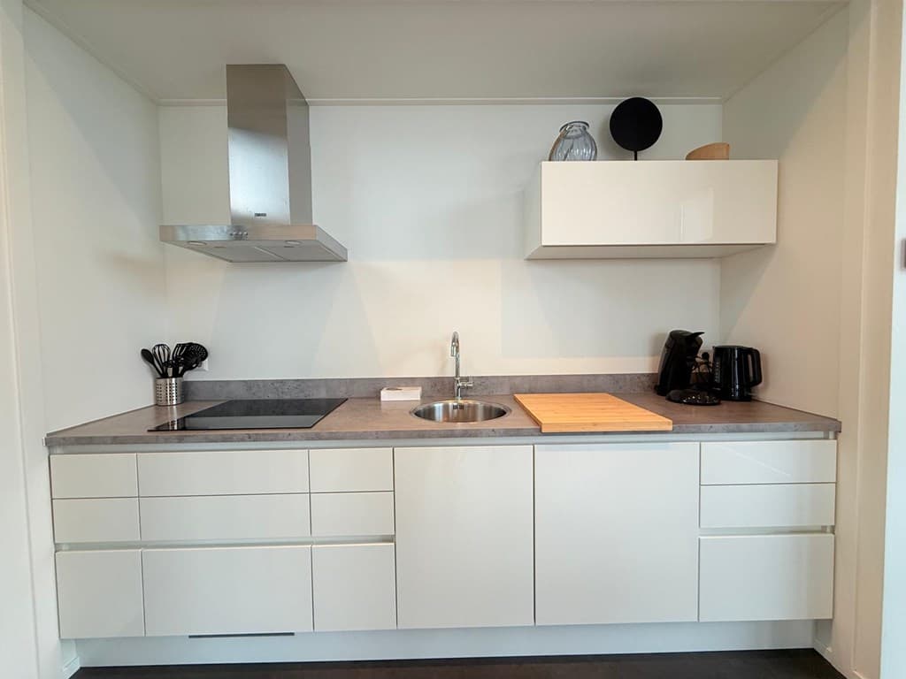 Moderne keukenkast met kookplaat, afzuigkap, gootsteen en enkele keukenapparaten in een lichte ruimte