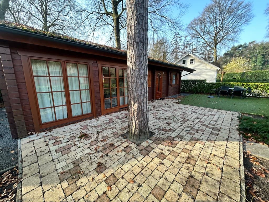 Tegels terras rondom een boom met toegang tot een houten woning en groene tuin bij EuroParcs De Achterhoek