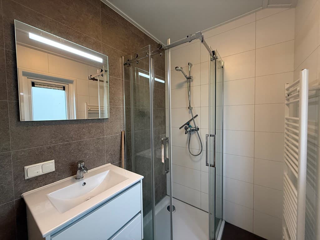 Moderne badkamer met douchecabine, wastafel met spiegel en handdoekenradiator in neutrale kleuren.