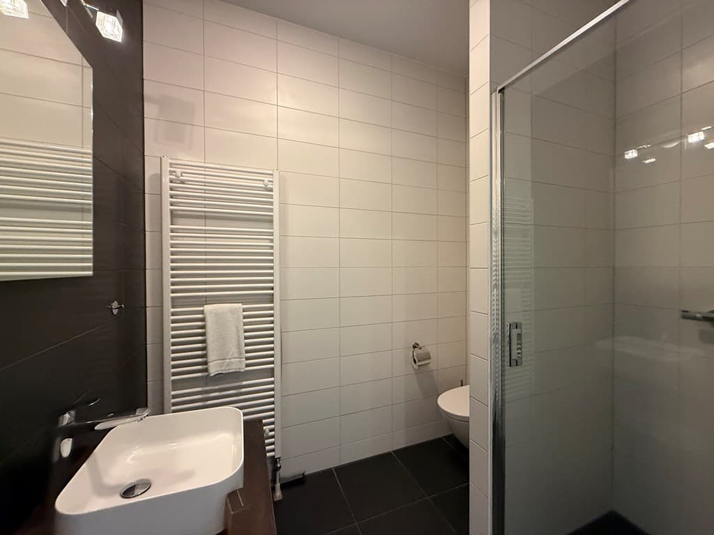 Moderne badkamer met inloopdouche, wastafel en verwarmde handdoekradiator.
