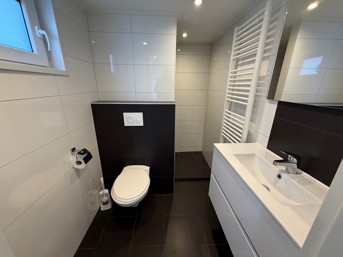 Moderne badkamer met toilet, wastafel en stijlvolle tegels in zwart en wit. Verduidelijking door natuurlijke verlichting.