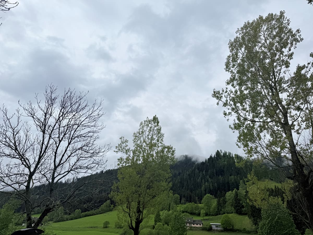 Uitzicht op groene heuvels en bossen onder een bewolkte lucht met enkele bomen in de voorgrond