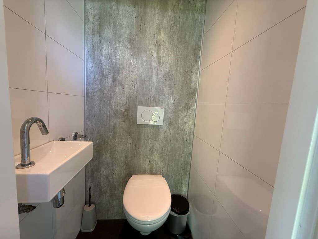 Toilet met moderne wandafwerking, wastafel en toiletpot in een compacte ruimte