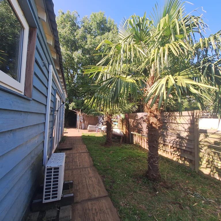 Zijzicht van een woning met palmboom en houten pad naast de gevel, groene bomen op de achtergrond.