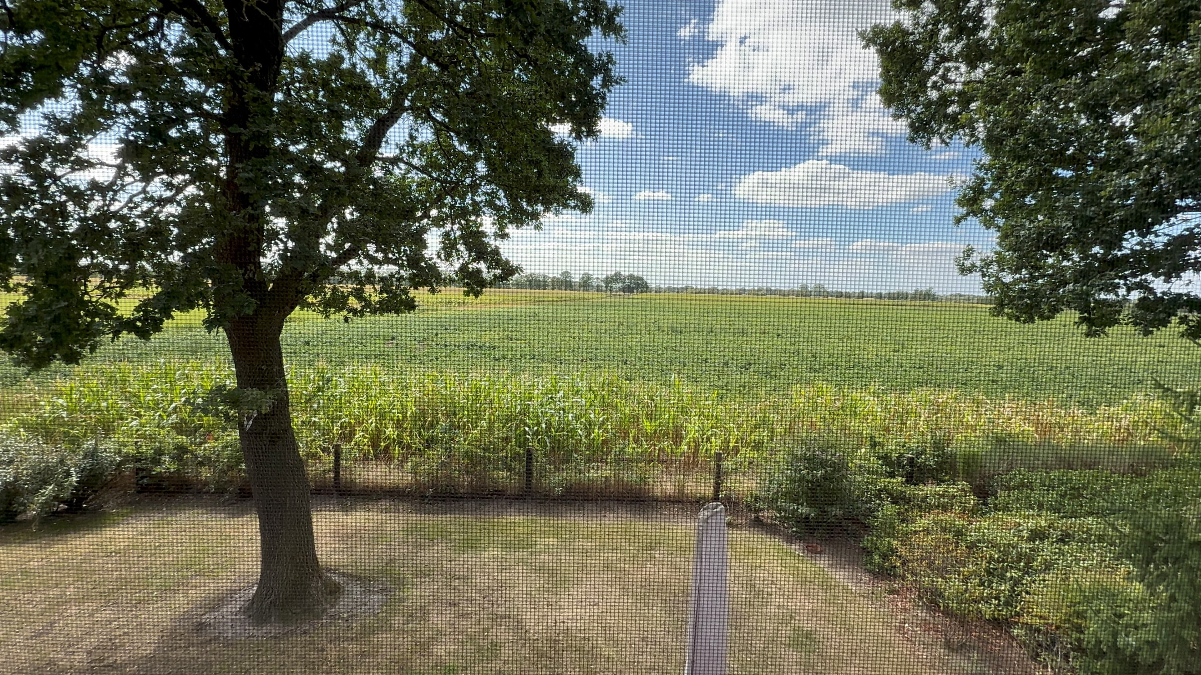 Uitzicht op groene velden met bomen en een blauwe lucht vol wolken, zichtbaar door een gaasraam.