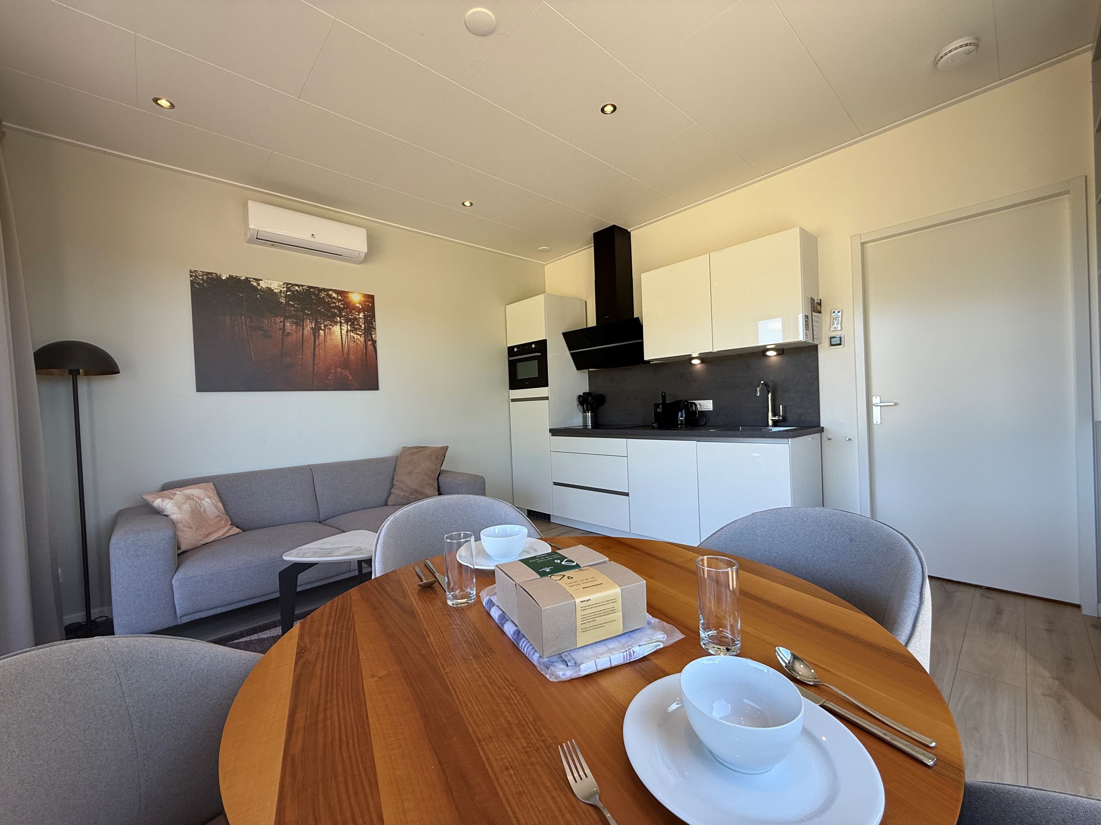 Moderne woonkamer met zithoek, eettafel en open keuken in lichte kleuren, inclusief apparatuur en decoratie