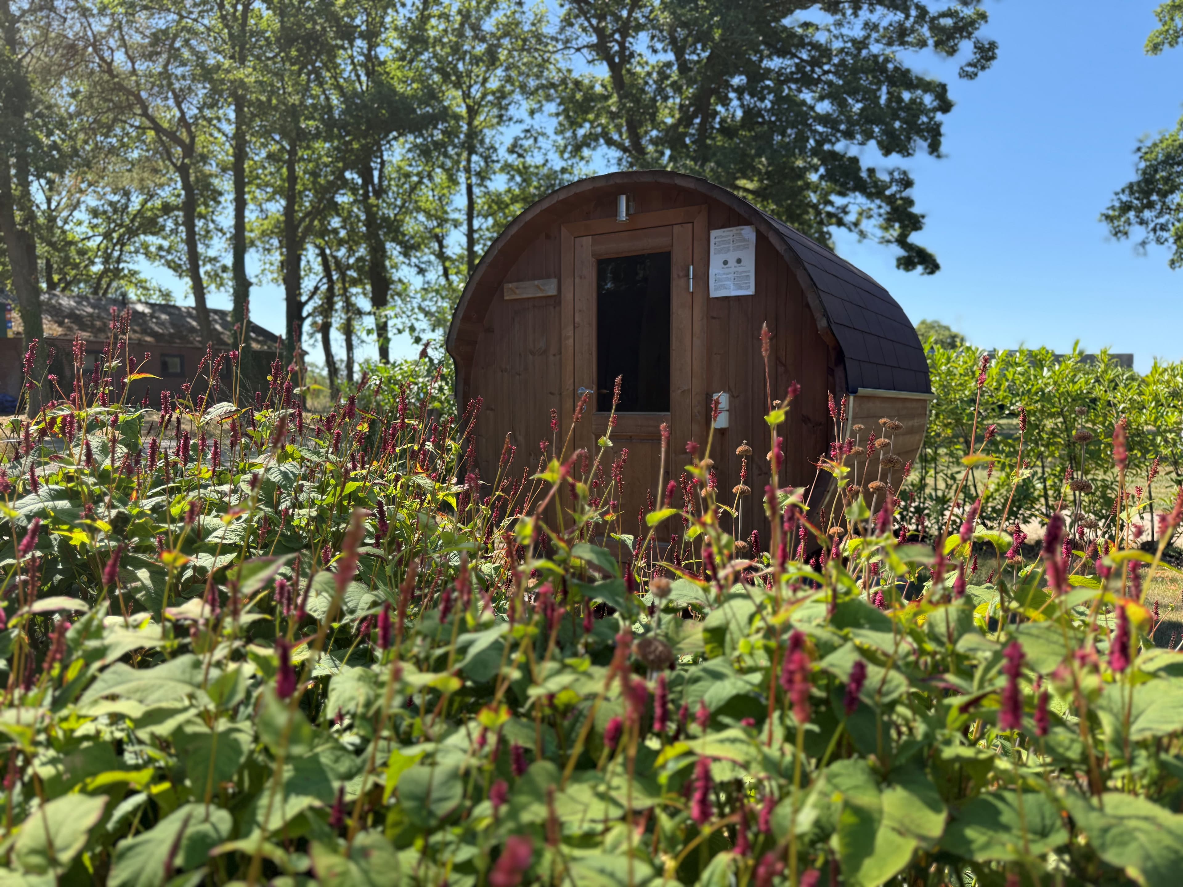 Houten hut omgeven door groene planten en paarse bloemen, onder een blauwe lucht met bomen op de achtergrond