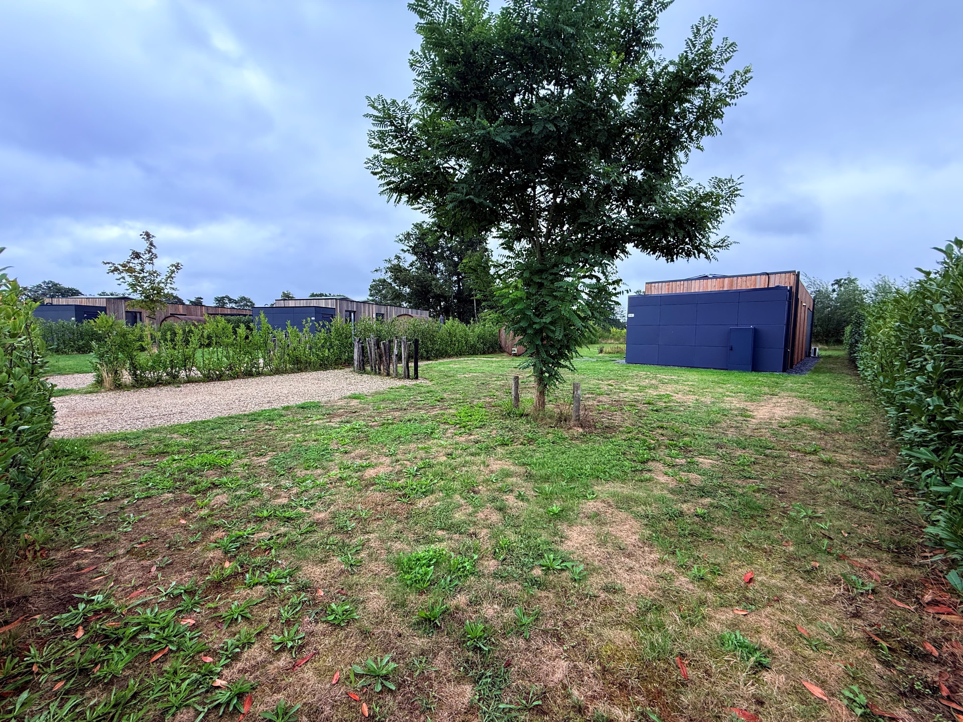 Tuin van een recreatiewoning met een grasveld, een boom en omringende heggen op het vakantiepark Hofparken Wiltershaar
