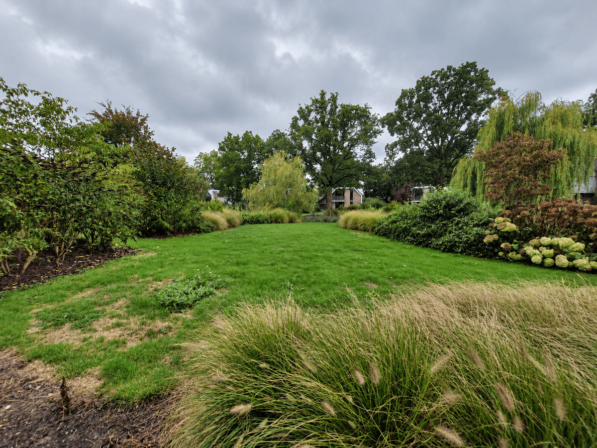 Groene tuin met gras en struiken, omringd door bomen en groene planten, onder een bewolkte hemel