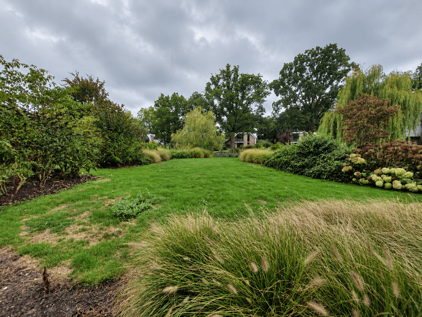 Groene tuin met gras en struiken, omringd door bomen en groene planten, onder een bewolkte hemel