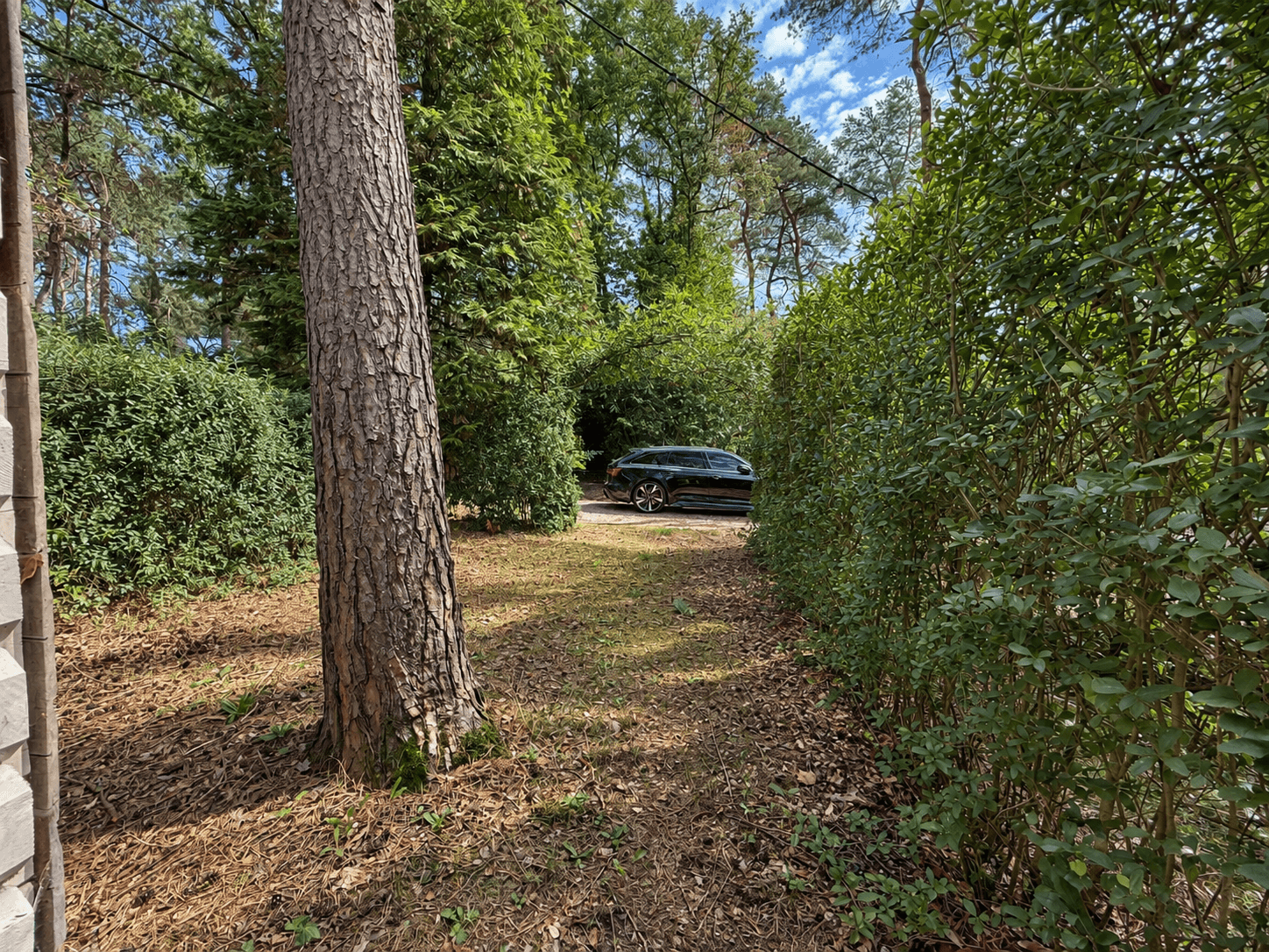 Oprit naar een recreatiewoning met een auto tussen groen struikgewas en hoge bomen, helderblauwe lucht zichtbaar