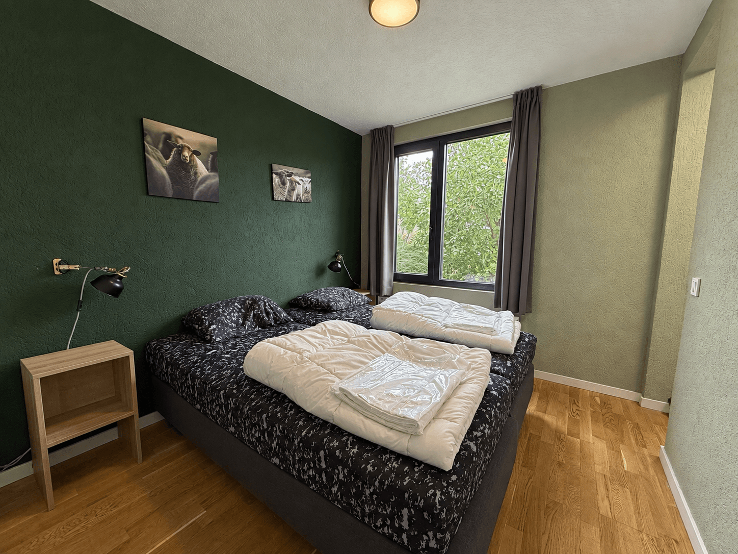 Slaapkamer met twee bedden, groene muren, houten vloer en grote raam met uitzicht op buiten.