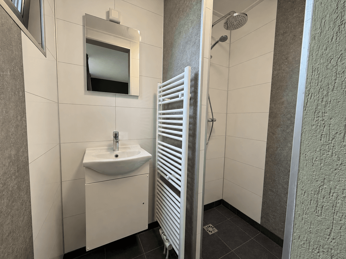 Badkamer met douche, wastafel, spiegel en handdoekenradiator in lichte en donkere tegelafwerking