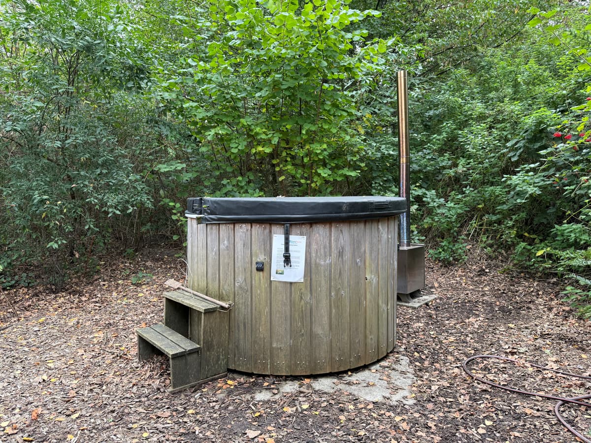 Houten hottub omringd door bomen en struiken, met houten trappen aan de voorkant.